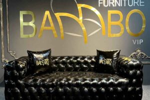 چستر کلاسیک